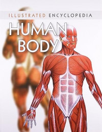 Human body