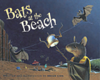 Bats at the beach