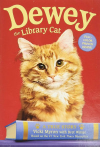 Dewey the Library Cat