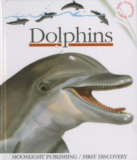 Dolphins