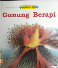 Gunung berapi