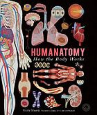 Humanatomy How The Body Works