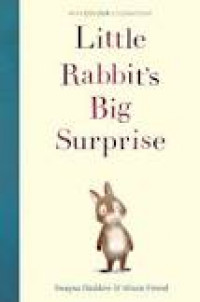 Little Rabbit's Big Surprise