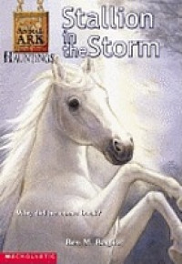 Stallion in the storm