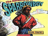 The Adventures of Sparrowboy