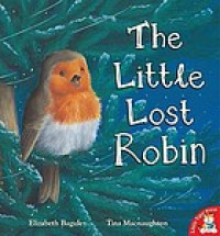 The little lost robin