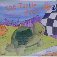 The Turtle Race