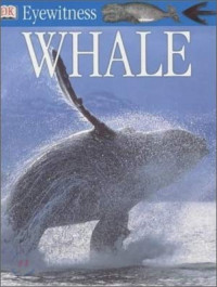 Whale